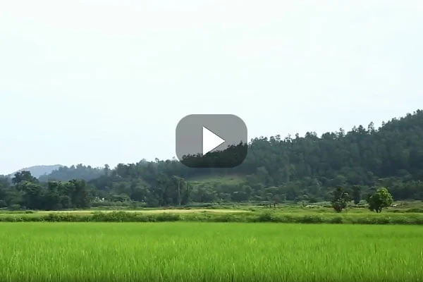 Documentary film makers in Jharkhand