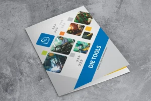 Brochure Design in Jharkhand