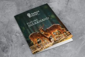 Brochure Design in Jharkhand