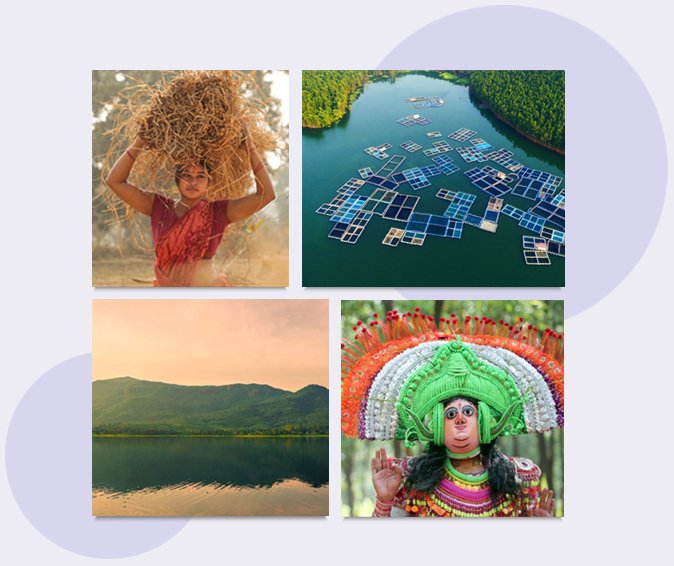 Photography Services by GR8DESIGNS