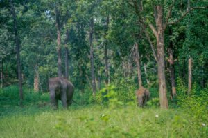 GR8DESIGNS: Capturing greatness in every frame.